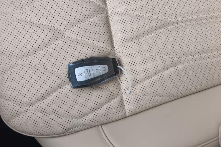 Used Geely Auto Monjaro L 2025 Dongfang Yao 2.0TD Automatic All-Wheel-Drive Wangyue Edition
