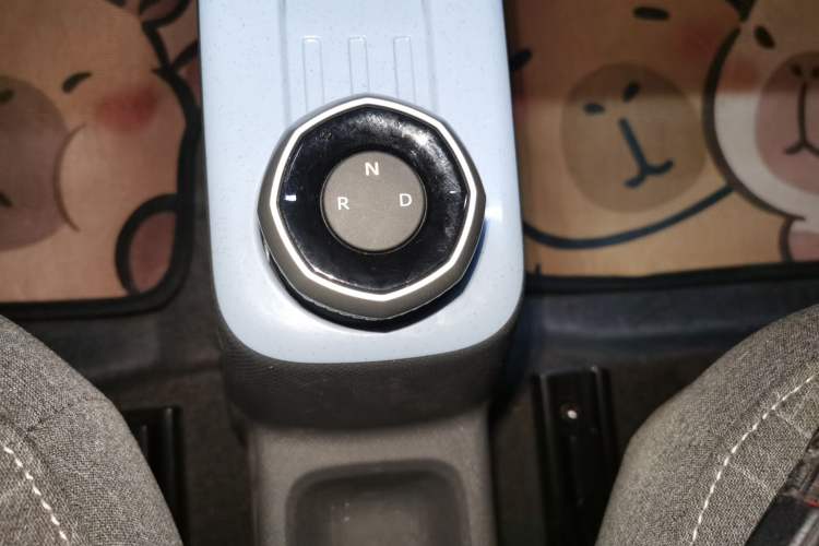 Used  Panda 2024 Panda Mini 200km Endurance Bear