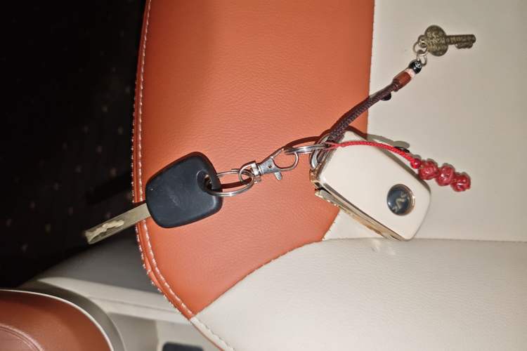 Used Xiaohu EV 2022 FOR-Four Goodie Tiger Ternary Lithium