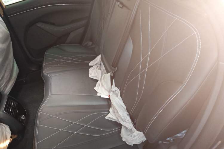 Used Ford Mustang Mach-E 2021 Leap Edition Rear-Drive Version (Standard Range)