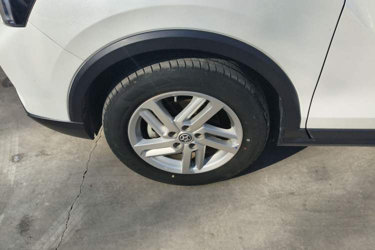 Used Venucia T60EV 2020 AI Enjoyment Model