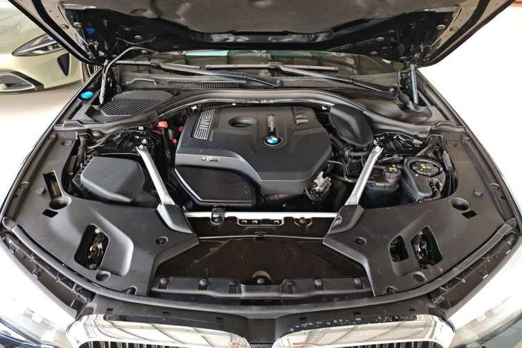 Used BMW 5 Series 2019 530Li Leading Model M Sport Package
