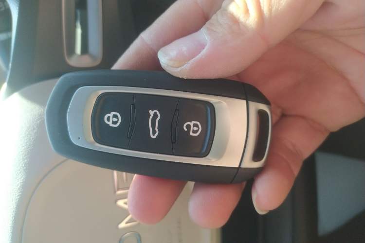 Used  Panda 2024 200km Panda Rider