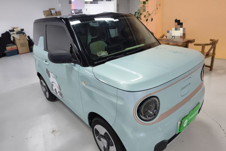 Used  Panda 2023 Panda Mini 200km Dynamic Bear
