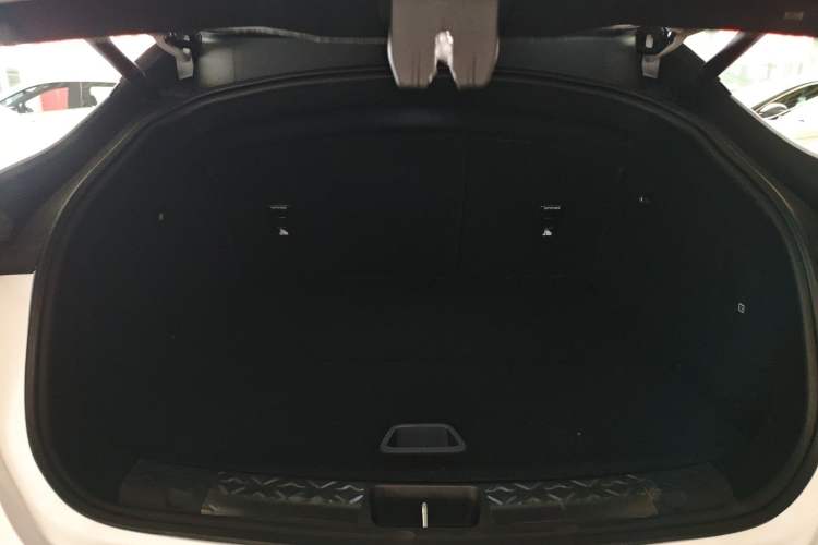 Used  06 2025 Max All-Electric Version
