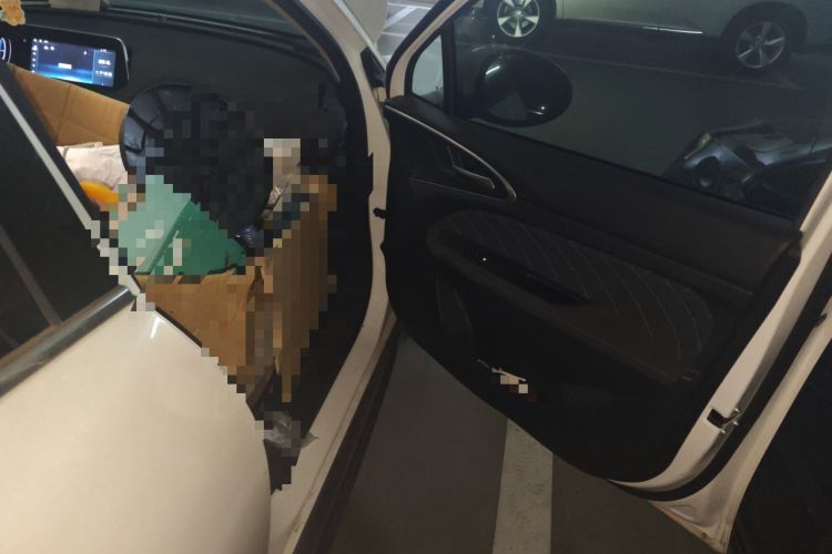 Used ORA Good Cat 2022 Morandi Edition 400km Standard Range Luxury Version Lithium-Ion Battery
