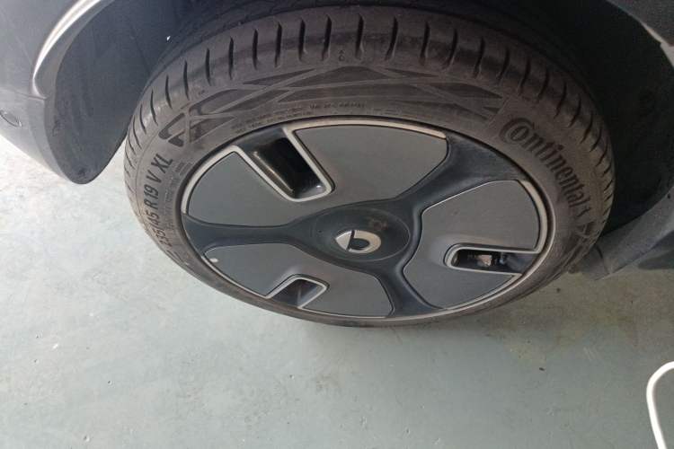 Used  #1 2022 Premium Edition
