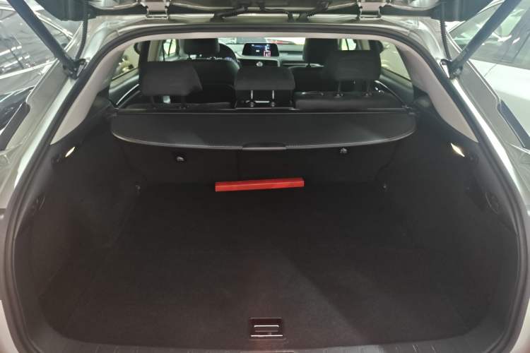 Used Lexus RX 2020 300 Two-Wheel Drive Elite Edition China VI Standard