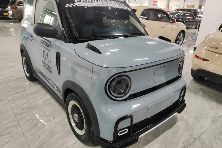 Used  Panda 2024 200km Panda Kart
