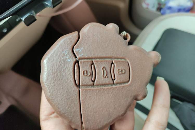 Used  Panda 2023 Panda Mini 200km Endurance Bear
