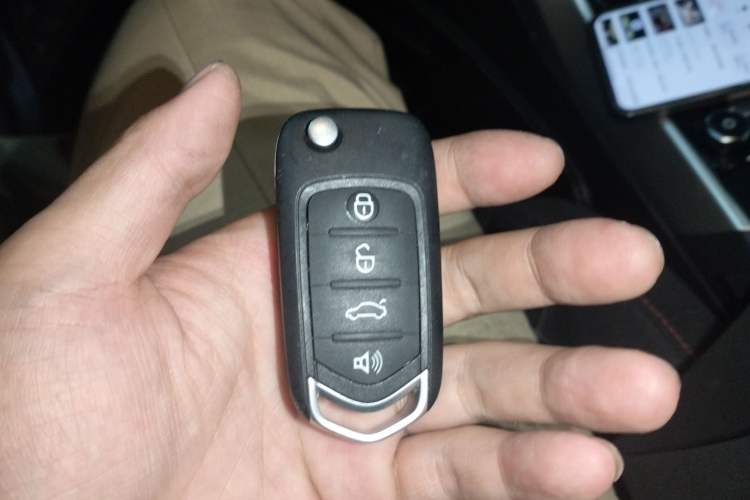 Used BORGWARD BX3 2020 20TGDI Two-Wheel Drive Automatic Comfort Version