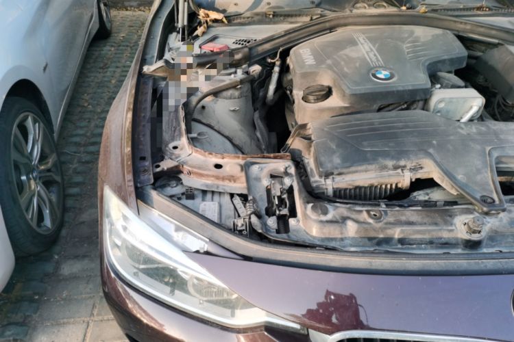 Used BMW 3 Series 2016 320Li Ambition Model
