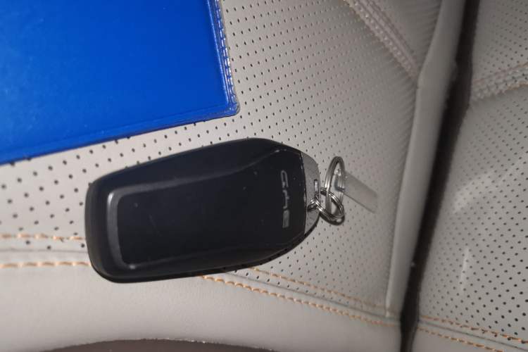 Used BYD Qin PLUS 2024 HONOR Edition DM-i 55KM Leading Model
