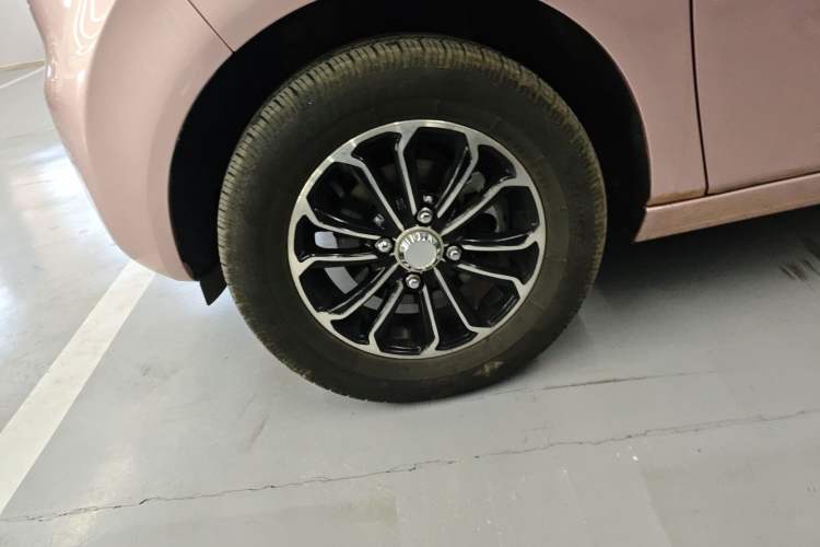 Used  Panda 2024 Panda Mini 200km Endurance Bear
