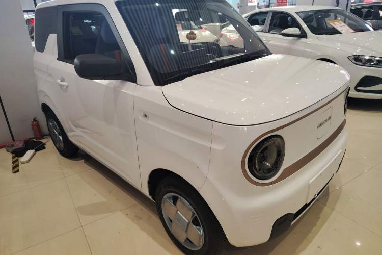 Used  Panda 2024 Panda Mini 200km Endurance Bear