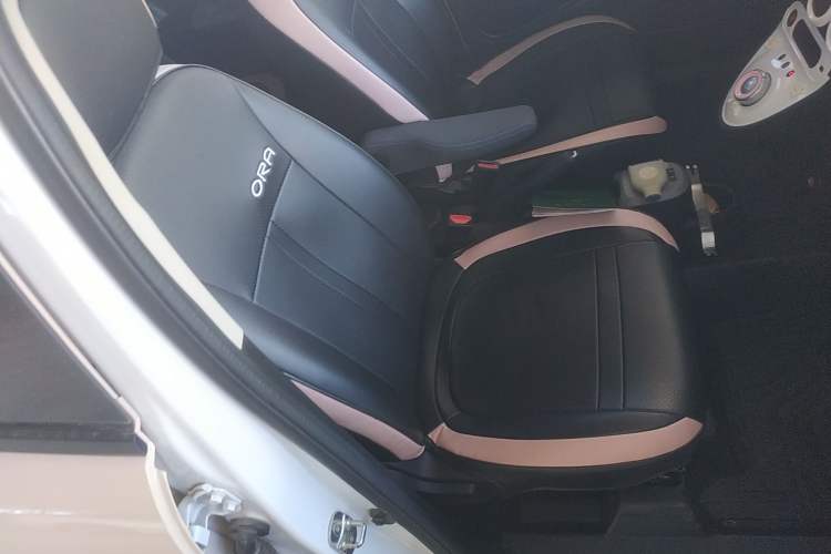 Used ORA Black Cat 2022 301km Base Version Ternary Lithium
