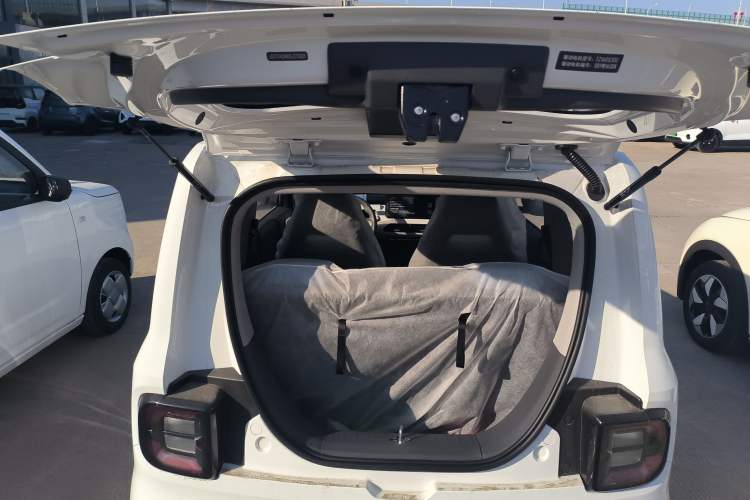 Used  Panda 2024 Panda Mini 200km Endurance Bear