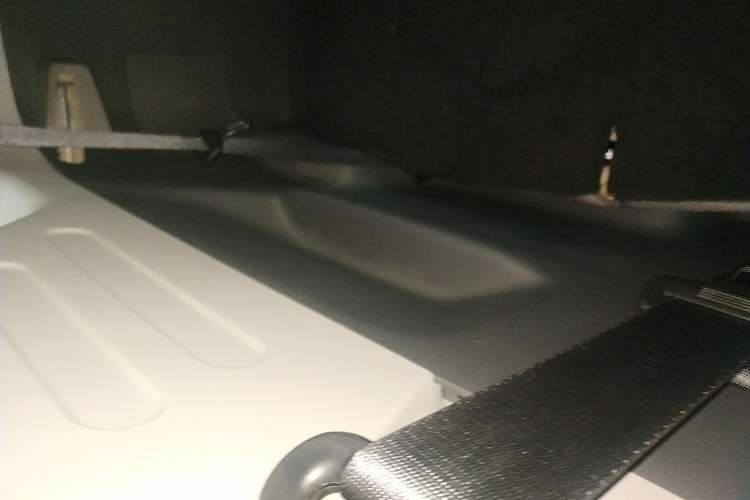 Used  Panda 2024 200km Panda Kart
