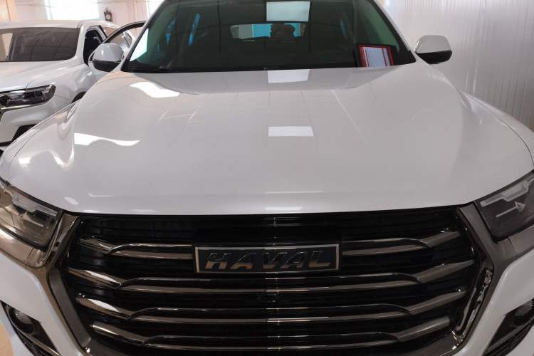 Used Haval H6 2021 National Trend Edition 1.5T Automatic Urban Version

