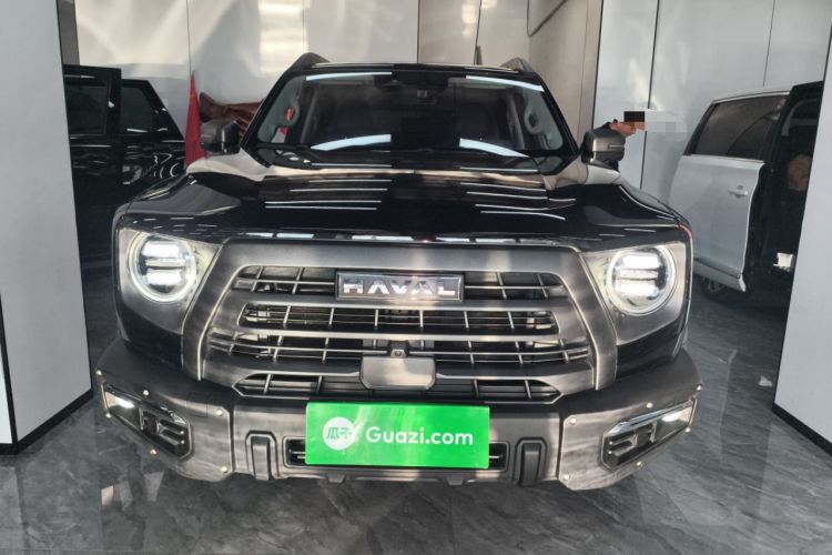 Used Haval DARGO 2024 2.0T DCT Chinese Rural Dog Edition
