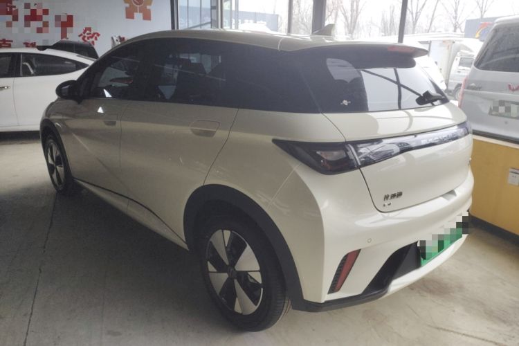 Used BYD Dolphin 2023 420 km Free Version