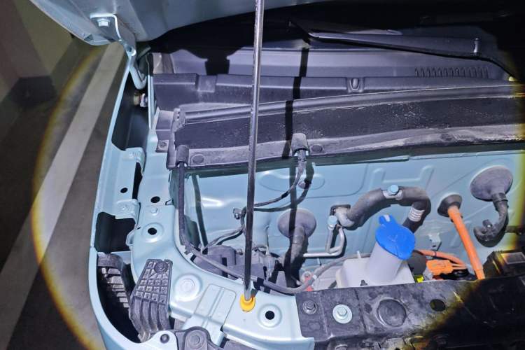 Used  Panda 2024 Panda Mini 200km Endurance Bear