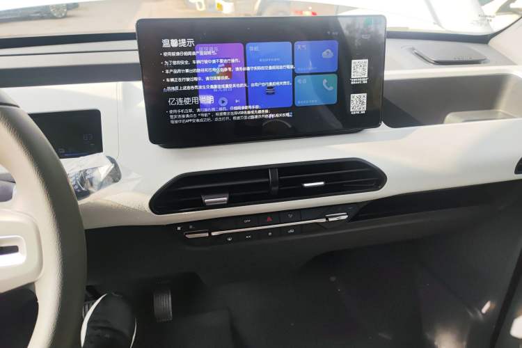 Used  Panda 2024 Panda Mini 200km Endurance Bear
