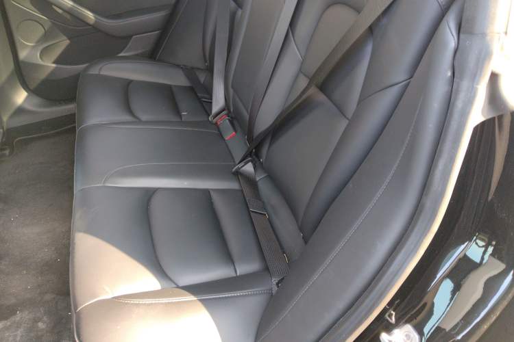 Used Tesla Model 3 2022 Rear-Wheel-Drive Version
