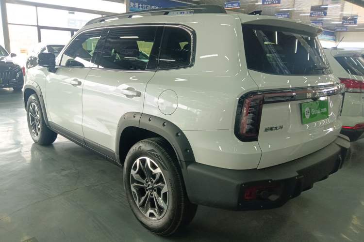 Used Haval DARGO 2024 2.0T DCT Chinese Rural Dog Edition
