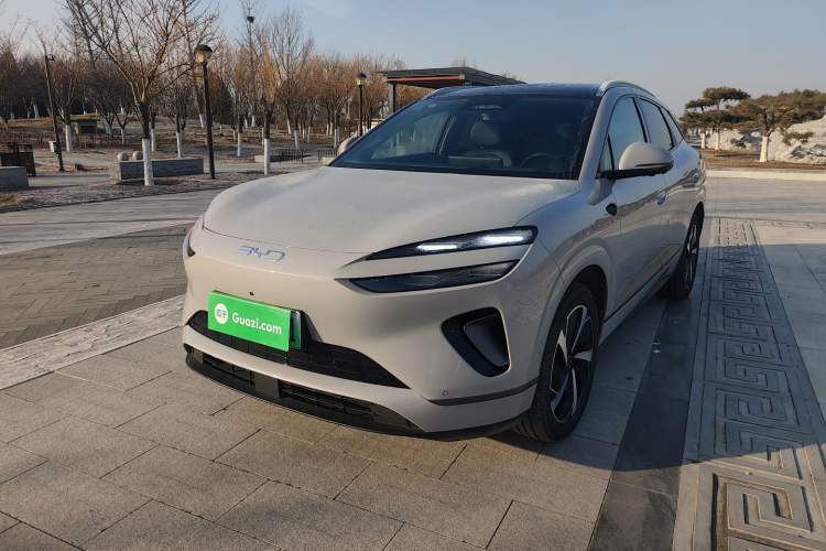 Used BYD Sealion 06 New Energy 
