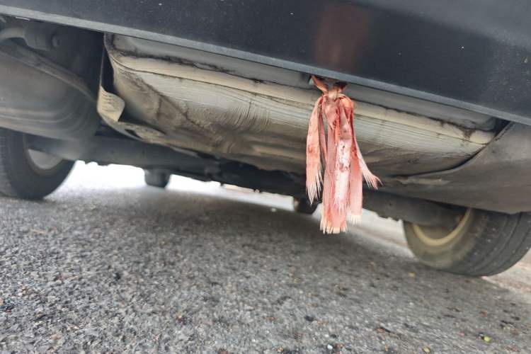 Used Volkswagen Sagitar 2014 Revised Version 1.4TSI Manual Luxury Edition