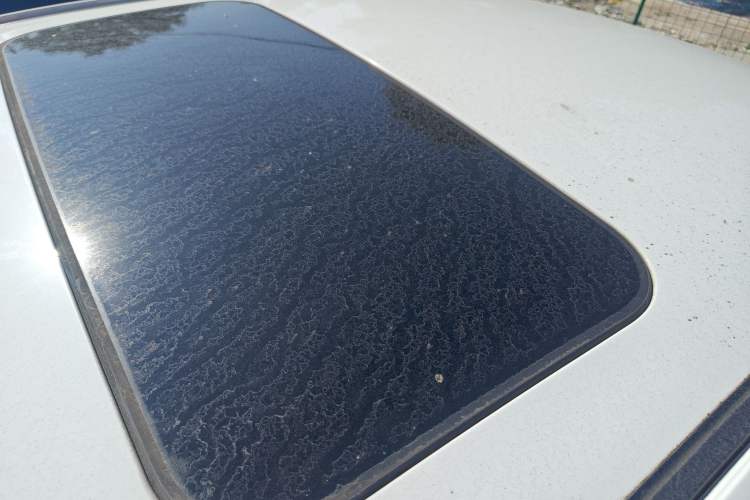 Used Geely Auto Emgrand 2019 Leading Edition 1.5L CVT Upward Asian Games Edition China VI
