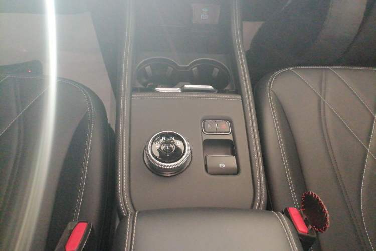 Used Ford Mustang Mach-E 2021 Leap Edition Rear-Drive Version (Standard Range)