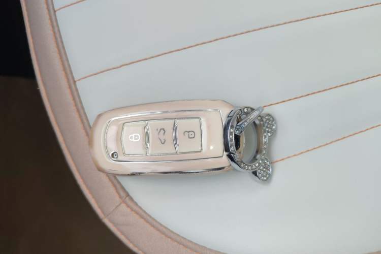 Used  Panda 2023 Panda Mini 200km Endurance Bear
