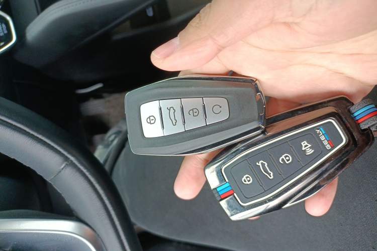 Used Geely Auto Monjaro L 2024 2.0TD DCT EVO Two-Wheel Drive Long-Range Version
