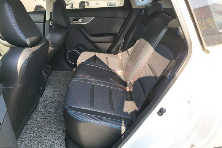 Used Venucia T60EV 2020 AI Enjoyment Model
