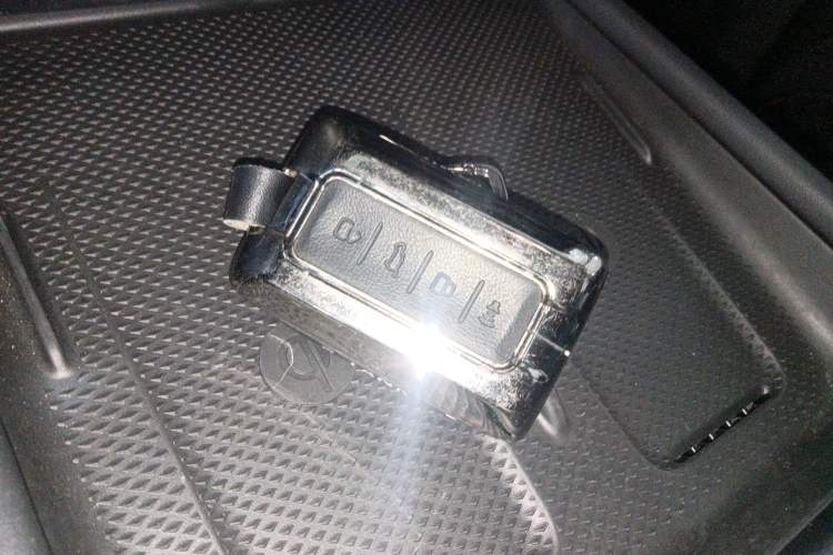 Used Tank 300 New Energy 2025 Hi4-T
