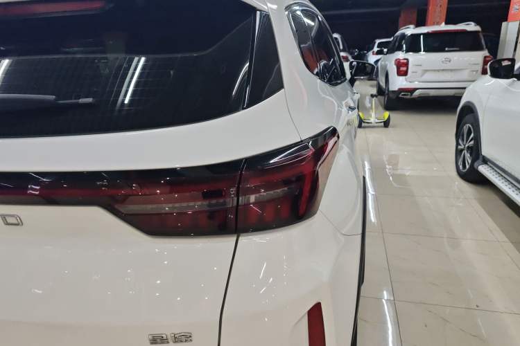 Used  Zhuifeng 2020 Chasing the Waves Edition 1.5T CVT Xingrui Version
