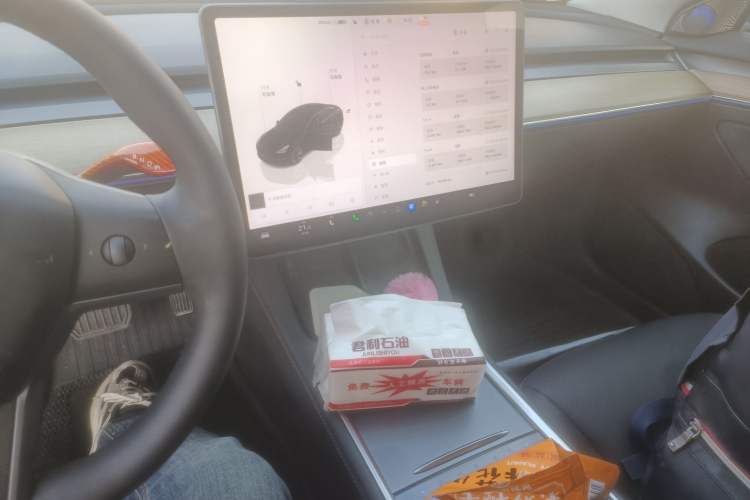 Used Tesla Model 3 2022 Rear-Wheel-Drive Version
