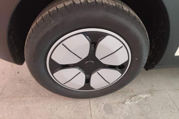 Used  Geome 2025 310km Youth Edition
