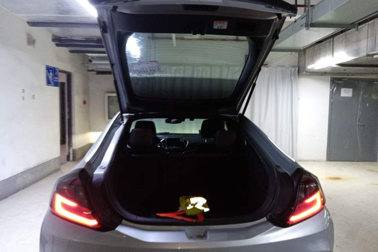 Used Buick VELITE 5 2017 Stylish Extended-Range Model
