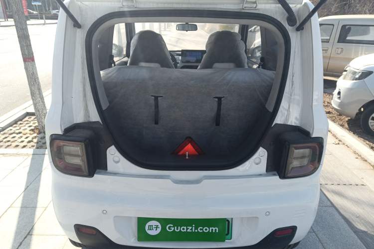 Used  Panda 2024 Panda Mini 200km Endurance Bear