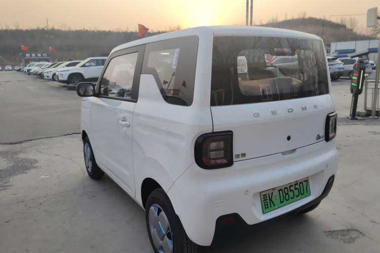 Used  Panda 2024 Panda Mini 200km Endurance Bear