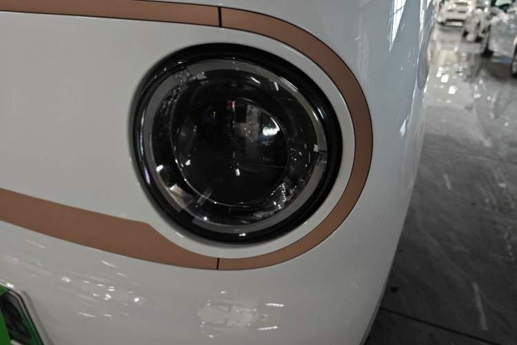 Used  Panda 2024 Panda Mini 200km Endurance Bear