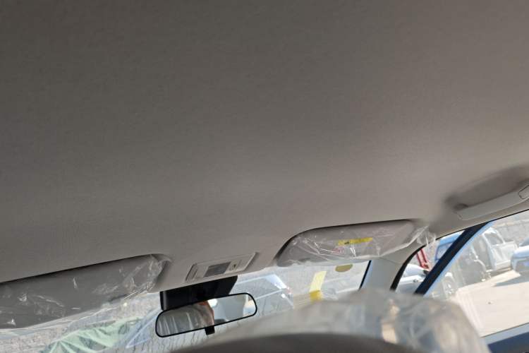 Used  Lumin 2025 205 km Xiangqin Version