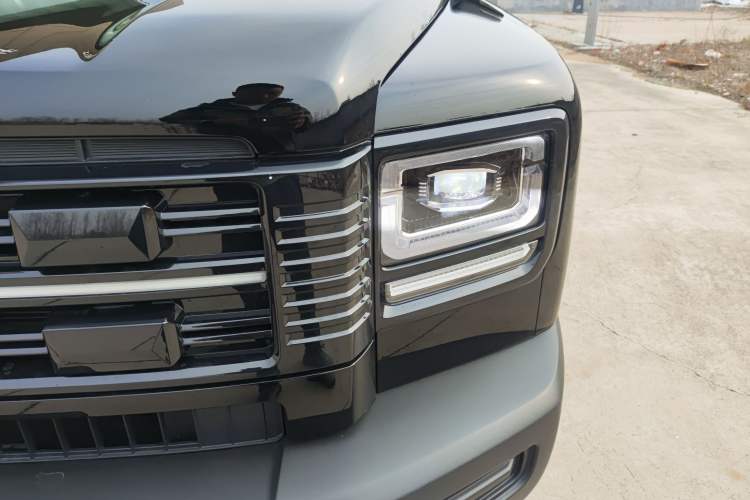 Used Haval Raptor New Energy 