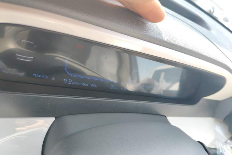 Used  Panda 2025 210 km – Yuanqi Bear
