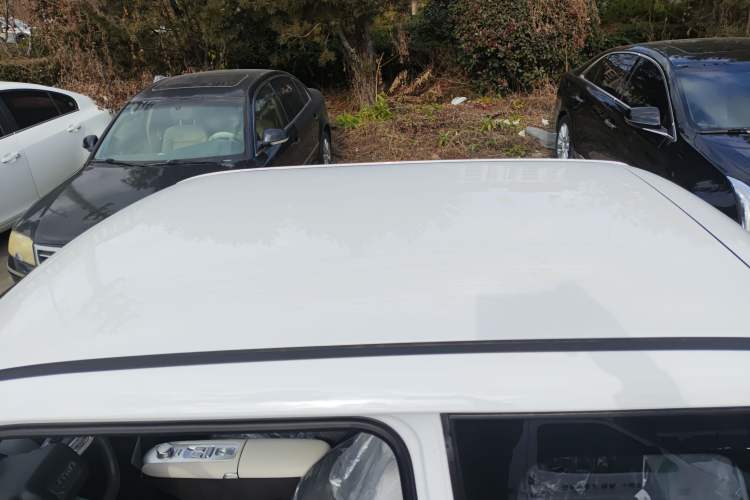 Used  Lumin 2025 205 km Xiangqin Version
