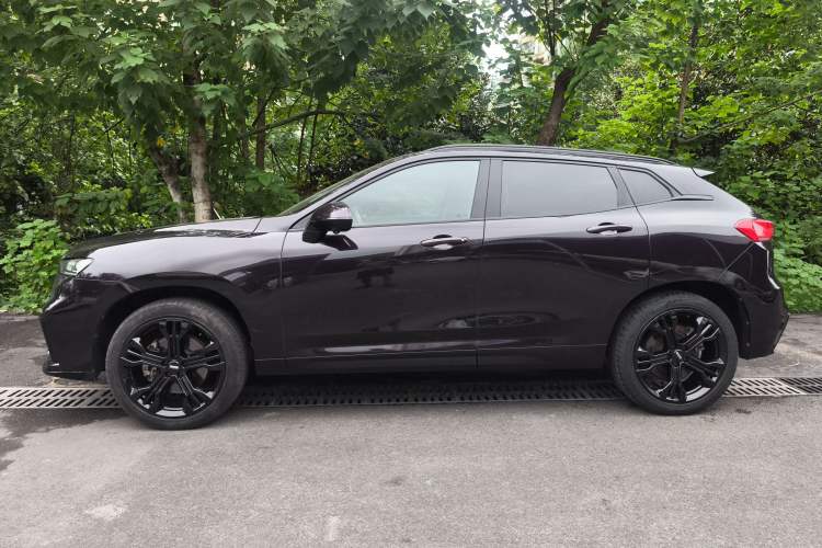 Used Wey VV7 2020 2.0T Flagship Edition
