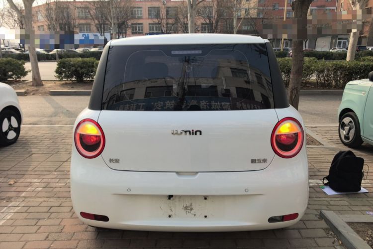 Used  Lumin 2023 205km Xiangqin Version